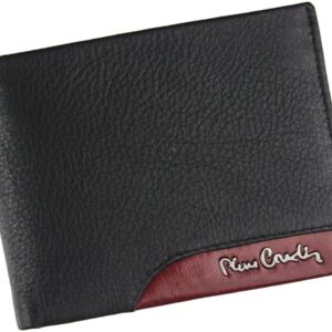 pierre cardin tilak34 8804