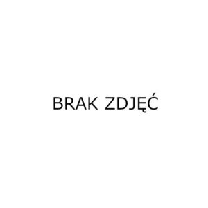 zegarek damski extreim ext-y019a-5a (zx659e)