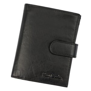 pierre cardin tilak59 331a