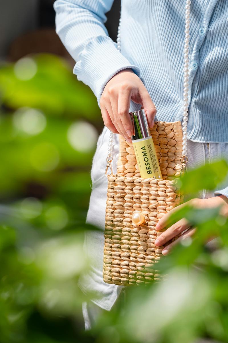 cosmetic handbag